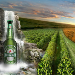 Bier - Heineken